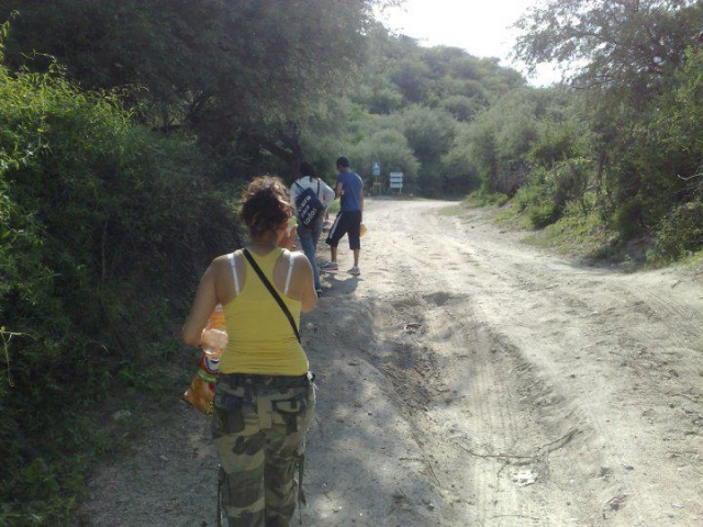 Green & Xtrem 